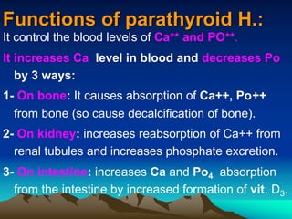 Functions of parathyroid H.:
It control the blood levels of Ca++ and PO++.
It increases Ca level in blood and decreases Po
by 3 ways:
1- On bone: It causes absorption of Ca++, Po++
from bone (so cause decalcification of bone).
2- On kidney: increases reabsorption of Ca++ from
renal tubules and increases phosphate excretion.
3- On intestine: increases Ca and Po4 absorption
from the intestine by increased formation of vit. D3.
 