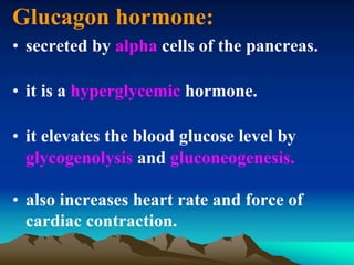 Glucagon hormone:
• secreted by alpha cells of the pancreas.
• it is a hyperglycemic hormone.
• it elevates the blood glucose level by
glycogenolysis and gluconeogenesis.
• also increases heart rate and force of
cardiac contraction.
 