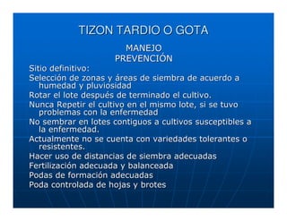 TIZON TARDIO O GOTA
                       MANEJO
                     PREVENCIÓN
Sitio definitivo:
Selección de zonas y áreas de siembra de acuerdo a
   humedad y pluviosidad
Rotar el lote después de terminado el cultivo.
Nunca Repetir el cultivo en el mismo lote, si se tuvo
   problemas con la enfermedad
No sembrar en lotes contiguos a cultivos susceptibles a
   la enfermedad.
Actualmente no se cuenta con variedades tolerantes o
   resistentes.
Hacer uso de distancias de siembra adecuadas
Fertilización adecuada y balanceada
Podas de formación adecuadas
Poda controlada de hojas y brotes
 