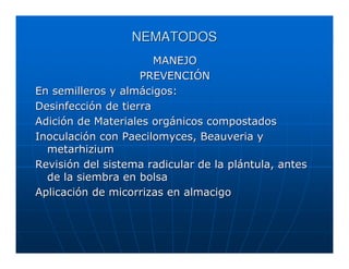 NEMATODOS
                       MANEJO
                    PREVENCIÓN
En semilleros y almácigos:
Desinfección de tierra
Adición de Materiales orgánicos compostados
Inoculación con Paecilomyces, Beauveria y
  metarhizium
Revisión del sistema radicular de la plántula, antes
  de la siembra en bolsa
Aplicación de micorrizas en almacigo
 