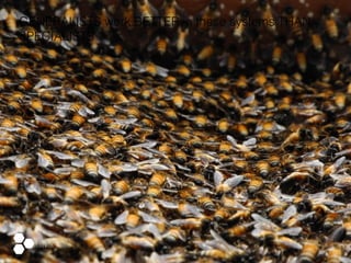 GENERALISTS work BETTER in these systems THAN
SPECIALISTS
 