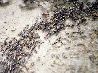 THE POWER OF GRADIENTS OF INFORMATION
 