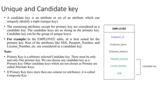 Comprehensive Guide to ER Model and Database Keys in DBMS | PPTX