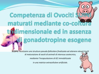SCOPO: Realizzare una struttura pseudo-follicolare finalizzata ad ottenere elevati livelli
             di maturazione di oociti di animali di interesse zootecnico,
                     mediante l’incapsulazione di GC immobilizzate
                        in una matrice extracellulare artificiale.
 