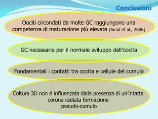 Conclusioni

   Oociti circondati da molte GC raggiungono una
competenza di maturazione più elevata (Sirad et al., 2006)


   GC necessarie per il normale sviluppo dell’oocita


Fondamentali i contatti tra oocita e cellule del cumulo



Coltura 3D non è influenzata dalla presenza di un’intatta
              corona radiata formazione
                     pseudo-cumulo
 
