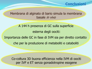 Conclusioni

    Membrana di alginato di bario simula la membrana
                     basale in vivo

          A 144 h presenza di GC sulla superficie
                    esterna degli oociti:
Importanza delle GC in fase di IVM sia per diretto contatto
      che per la produzione di metaboliti e cataboliti



     Co-coltura 3D buona efficienza nella IVM di oociti
        per IVF e ET senza gonadotropine esogene
 