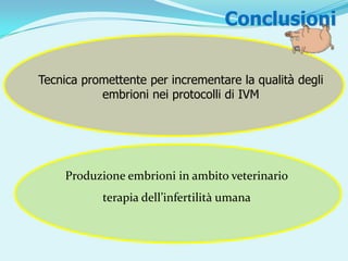 Conclusioni


Tecnica promettente per incrementare la qualità degli
           embrioni nei protocolli di IVM




     Produzione embrioni in ambito veterinario
           terapia dell’infertilità umana
 