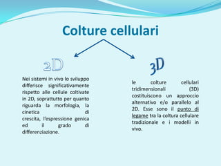 Colture cellulari


Nei sistemi in vivo lo sviluppo
                                   le       colture       cellulari
differisce significativamente
                                   tridimensionali            (3D)
rispetto alle cellule coltivate
                                   costituiscono un approccio
in 2D, soprattutto per quanto
                                   alternativo e/o parallelo al
riguarda la morfologia, la
                                   2D. Esse sono il punto di
cinetica                      di
                                   legame tra la coltura cellulare
crescita, l’espressione genica
                                   tradizionale e i modelli in
ed        il     grado        di
                                   vivo.
differenziazione.
 