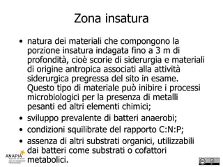 Zona insatura natura dei materiali che compongono la porzione insatura indagata fino a 3 m di profondità, cioè scorie di siderurgia e materiali di origine antropica associati alla attività siderurgica pregressa del sito in esame. Questo tipo di materiale può inibire i processi microbiologici per la presenza di metalli pesanti ed altri elementi chimici; sviluppo prevalente di batteri anaerobi; condizioni squilibrate del rapporto C:N:P; assenza di altri substrati organici, utilizzabili dai batteri come substrati o cofattori metabolici. 