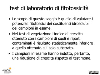 test di laboratorio di fitotossicità  Lo scopo di questo saggio è quello di valutare i potenziali fitotossici dei costituenti idrosolubili dei campioni in esame.  Nel test di vegetazione l’indice di crescita ottenuto con i campioni di suoli e riporti contaminati è risultato statisticamente inferiore a quello ottenuto sul solo substrato. I campioni in esame hanno indotto, pertanto, una riduzione di crescita rispetto al testimone.  