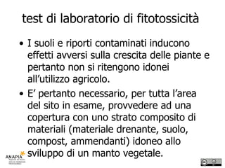 test di laboratorio di fitotossicità  I suoli e riporti contaminati inducono effetti avversi sulla crescita delle piante e pertanto non si ritengono idonei all’utilizzo agricolo.  E’ pertanto necessario, per tutta l’area del sito in esame, provvedere ad una copertura con uno strato composito di materiali (materiale drenante, suolo, compost, ammendanti) idoneo allo sviluppo di un manto vegetale.  