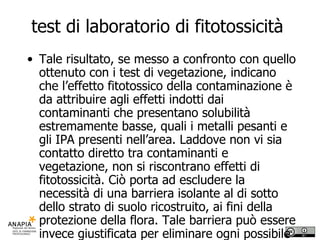 test di laboratorio di fitotossicità  Tale risultato, se messo a confronto con quello ottenuto con i test di vegetazione, indicano che l’effetto fitotossico della contaminazione è da attribuire agli effetti indotti dai contaminanti che presentano solubilità estremamente basse, quali i metalli pesanti e gli IPA presenti nell’area. Laddove non vi sia contatto diretto tra contaminanti e vegetazione, non si riscontrano effetti di fitotossicità. Ciò porta ad escludere la necessità di una barriera isolante al di sotto dello strato di suolo ricostruito, ai fini della protezione della flora. Tale barriera può essere invece giustificata per eliminare ogni possibile via di esposizione tra la popolazione che frequenterà la zona destinata a parco e la contaminazione residua presente al di sotto dello strato di copertura a fini agronomici. 