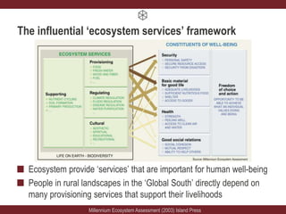 ecosystem services SW Ethiopia, Jannik, Jimma 2018 | PPTX