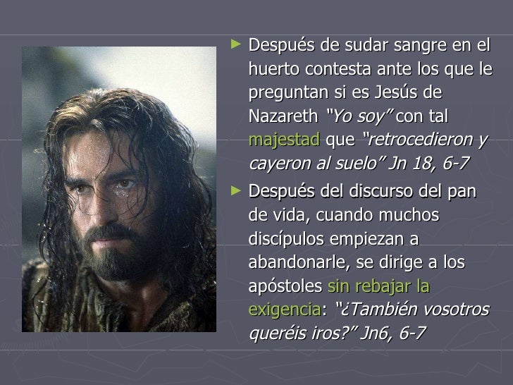 Jesucristo Verdadero Dios Y Verdadero Hombre Wikipedia