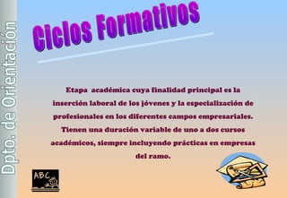 Etapa  académica cuya finalidad principal es la inserción laboral de los jóvenes y la especialización de profesionales en los diferentes campos empresariales. Tienen una duración variable de uno a dos cursos académicos, siempre incluyendo prácticas en empresas del ramo . Ciclos Formativos 