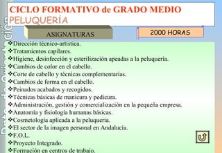 CICLO FORMATIVO de GRADO MEDIO PELUQUER Í A ASIGNATURAS Dirección técnico-artística. Tratamientos capilares. Higiene, desinfección y esterilización apeadas a la peluquería. Cambios de color en el cabello. Corte de cabello y técnicas complementarias. Cambios de forma en el cabello. Peinados acabados y recogidos. Técnicas básicas de manicura y pedicura. Administración, gestión y comercialización en la pequeña empresa. Anatomía y fisiología humanas básicas. Cosmetología aplicada a la peluquería. El sector de la imagen personal en Andalucía. F.O.L. Proyecto Integrado. Formación en centros de trabajo. 2000 HORAS 