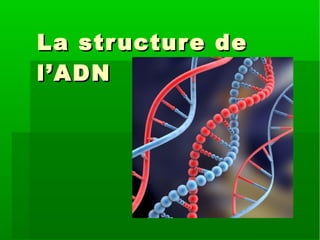 La str ucture de
l’ADN

 