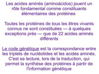 Les acides aminés (aminoácidos) jouent un
rôle fondamental comme constituants
élémentaires des protéines
Toutes les protéines de tous les êtres vivants
connus ne sont constituées — à quelques
exceptions près — que de 22 acides aminés
différents
Le code génétique est la correspondance entre
les triplets de nucléotides et les acides aminés.
C'est sa lecture, lors de la traduction, qui
permet la synthèse des protéines à partir de
l'information génétique

 