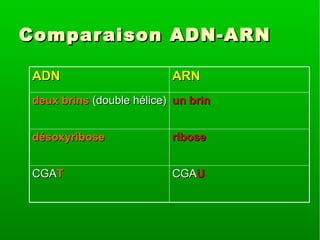 Compar aison ADN-ARN
ADN

ARN

deux brins (double hélice) un brin
désoxyribose

ribose

CGAT

CGAU

 