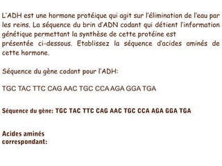 L’ADH est une hormone protéique qui agit sur l’élimination de l’eau par
les reins. La séquence du brin d’ADN codant qui détient l’information
génétique permettant la synthèse de cette protéine est
présentée ci-dessous. Etablissez la séquence d’acides aminés de
cette hormone.
Séquence du gène codant pour l’ADH:
TGC TAC TTC CAG AAC TGC CCA AGA GGA TGA
Séquence du gène: TGC TAC TTC CAG AAC TGC CCA AGA GGA TGA

Acides aminés
correspondant:

 