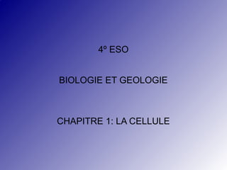 4º ESO
BIOLOGIE ET GEOLOGIE

CHAPITRE 1: LA CELLULE

 