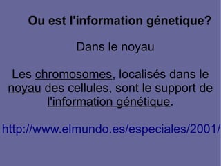Ou est l'information génetique?
Dans le noyau
Les chromosomes, localisés dans le
noyau des cellules, sont le support de
l'information génétique.

http://www.elmundo.es/especiales/2001/0

 
