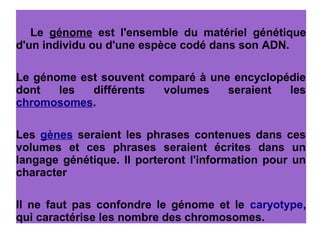 Le génome est l'ensemble du matériel génétique
d'un individu ou d'une espèce codé dans son ADN.
Le génome est souvent comparé à une encyclopédie
dont
les
différents
volumes
seraient
les
chromosomes.
Les gènes seraient les phrases contenues dans ces
volumes et ces phrases seraient écrites dans un
langage génétique. Il porteront l'information pour un
character
Il ne faut pas confondre le génome et le caryotype,
qui caractérise les nombre des chromosomes.

 