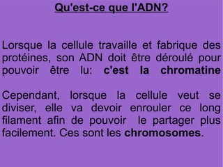 Qu'est-ce que l'ADN?
Lorsque la cellule travaille et fabrique des
protéines, son ADN doit être déroulé pour
pouvoir être lu: c'est la chromatine
Cependant, lorsque la cellule veut se
diviser, elle va devoir enrouler ce long
filament afin de pouvoir le partager plus
facilement. Ces sont les chromosomes.

 