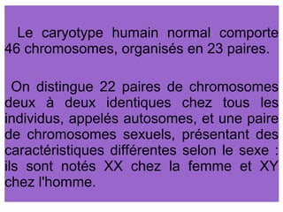 Le caryotype humain normal comporte
46 chromosomes, organisés en 23 paires.
On distingue 22 paires de chromosomes
deux à deux identiques chez tous les
individus, appelés autosomes, et une paire
de chromosomes sexuels, présentant des
caractéristiques différentes selon le sexe :
ils sont notés XX chez la femme et XY
chez l'homme.

 