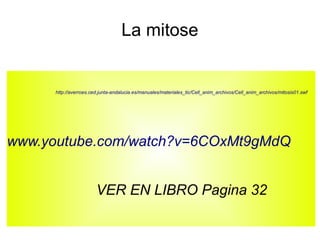 La mitose

http://averroes.ced.junta-andalucia.es/manuales/materiales_tic/Cell_anim_archivos/Cell_anim_archivos/mitosis01.swf

www.youtube.com/watch?v=6COxMt9gMdQ
VER EN LIBRO Pagina 32

 