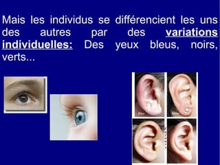 Mais les individus se différencient les uns
des
autres
par
des
variations
individuelles: Des yeux bleus, noirs,
verts...

 