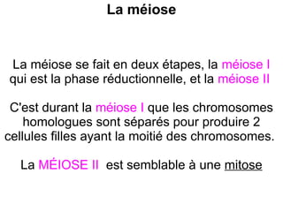 La méiose

La méiose se fait en deux étapes, la méiose I
qui est la phase réductionnelle, et la méiose II
C'est durant la méiose I que les chromosomes
homologues sont séparés pour produire 2
cellules filles ayant la moitié des chromosomes.
La MÉIOSE II est semblable à une mitose

 