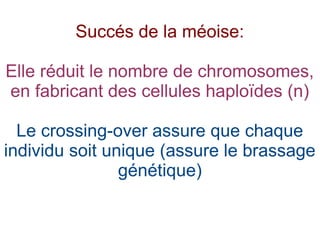 Succés de la méoise:
Elle réduit le nombre de chromosomes,
en fabricant des cellules haploïdes (n)
Le crossing-over assure que chaque
individu soit unique (assure le brassage
génétique)

 
