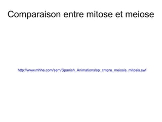 Comparaison entre mitose et meiose

http://www.mhhe.com/sem/Spanish_Animations/sp_cmpre_meiosis_mitosis.swf

 