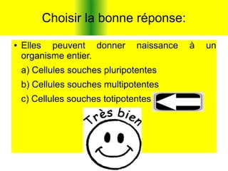 Choisir la bonne réponse:
●

Elles peuvent donner
organisme entier.

naissance

a) Cellules souches pluripotentes
b) Cellules souches multipotentes
c) Cellules souches totipotentes

à

un

 