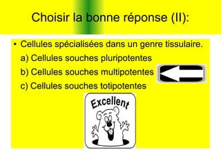 Choisir la bonne réponse (II):
●

Cellules spécialisées dans un genre tissulaire.
a) Cellules souches pluripotentes
b) Cellules souches multipotentes
c) Cellules souches totipotentes

 