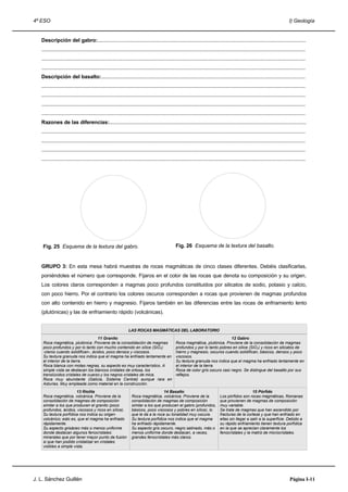 4º ESO                                                                                                                                                                      I) Geología


   Descripción del gabro:...............................................................................................................................................
   .....................................................................................................................................................................................
   .....................................................................................................................................................................................
   .....................................................................................................................................................................................
   Descripción del basalto:............................................................................................................................................
   .....................................................................................................................................................................................
   .....................................................................................................................................................................................
   .....................................................................................................................................................................................
   .....................................................................................................................................................................................
   Razones de las diferencias:.......................................................................................................................................
   .....................................................................................................................................................................................
   .....................................................................................................................................................................................
   .....................................................................................................................................................................................
   .....................................................................................................................................................................................




    Fig. 25 Esquema de la textura del gabro.                                                   Fig. 26 Esquema de la textura del basalto.


   GRUPO 3: En esta mesa habrá muestras de rocas magmáticas de cinco clases diferentes. Debéis clasificarlas,
   poniéndoles el número que corresponde. Fijaros en el color de las rocas que denota su composición y su origen.
   Los colores claros corresponden a magmas poco profundos constituidos por silicatos de sodio, potasio y calcio,
   con poco hierro. Por el contrario los colores oscuros corresponden a rocas que provienen de magmas profundos
   con alto contenido en hierro y magnesio. Fijaros también en las diferencias entre las rocas de enfriamiento lento
   (plutónicas) y las de enfriamiento rápido (volcánicas).


                                                              LAS ROCAS MAGMÁTICAS DEL LABORATORIO
                                    11 Granito                                                                                12 Gabro
    Roca magmática, plutónica. Proviene de la consolidación de magmas                          Roca magmática, plutónica. Proviene de la consolidación de magmas
    poco profundos y por lo tanto con mucho contenido en sílice (SiO2)                         profundos y por lo tanto pobres en sílice (SiO2) y ricos en silicatos de
    -claros cuando solidifican-, ácidos, poco densos y viscosos.                               hierro y magnesio, oscuros cuando solidifican, básicos, densos y poco
    Su textura granuda nos indica que el magma ha enfriado lentamente en                       viscosos.
    el interior de la tierra.                                                                  Su textura granuda nos indica que el magma ha enfriado lentamente en
    Roca blanca con motas negras, su aspecto es muy característico. A                          el interior de la tierra.
    simple vista se destacan los blancos cristales de ortosa, los                              Roca de color gris oscuro casi negro. Se distingue del basalto por sus
    translúcidos cristales de cuarzo y los negros cristales de mica.                           reflejos.
    Roca muy abundante (Galicia, Sistema Central) aunque rara en
    Asturias. Muy empleada como material en la construcción.
                        13 Riolita                                                 14 Basalto                                                    15 Pórfido
    Roca magmática, volcánica. Proviene de la                   Roca magmática, volcánica. Proviene de la                    Los pórfidos son rocas magmáticas, filonianas
    consolidación de magmas de composición                      consolidación de magmas de composición                       que provienen de magmas de composición
    similar a los que producen el granito (poco                 similar a los que producen el gabro (profundos,              muy variable.
    profundos, ácidos, viscosos y ricos en sílice).             básicos, poco viscosos y pobres en sílice), lo               Se trata de magmas que han ascendido por
    Su textura porfídica nos indica su origen                   que le da a la roca su tonalidad muy oscura.                 fracturas de la corteza y que han enfriado en
    volcánico; esto es, que el magma ha enfriado                Su textura porfídica nos indica que el magma                 ellas sin llegar a salir a la superficie. Debido a
    rápidamente.                                                ha enfriado rápidamente.                                     su rápido enfriamiento tienen textura porfídica
    Su aspecto grisáceo más o menos uniforme                    Su aspecto gris oscuro, negro satinado, más o                en la que se aprecian claramente los
    donde destacan algunos fenocristales:                       menos uniforme donde destacan, a veces,                      fenocristales y la matriz de microcristales.
    minerales que por tener mayor punto de fusión               grandes fenocristales más claros.
    si que han podido cristalizar en cristales
    visibles a simple vista.




J. L. Sánchez Guillén                                                                                                                                                        Página I-11
 
