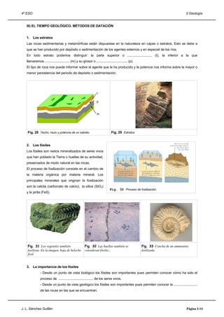 4º ESO                                                                                                                            I) Geología


   III) EL TIEMPO GEOLÓGICO. MÉTODOS DE DATACIÓN


   1.    Los estratos
   Las rocas sedimentarias y metamórficas están dispuestas en la naturaleza en capas o estratos. Esto se debe a
   que se han producido por depósito o sedimentación de los agentes externos y en especial de los ríos.
   En todo estrato podemos distinguir: la parte superior o ........................... (t), la inferior a la que
   llamaremos ........................... (m) y su grosor o .................................. (p).
   El tipo de roca nos puede informar sobre el agente que la ha producido y la potencia nos informa sobre la mayor o
   menor persistencia del periodo de depósito o sedimentación.




                                                                 t

                                                                  p


                                                                  m




    Fig. 28 Techo, muro y potencia de un estrato.                              Fig. 29 Estratos


   2.    Los fósiles
   Los fósiles son restos mineralizados de seres vivos
   que han poblado la Tierra o huellas de su actividad,
   preservados de modo natural en las rocas.
   El proceso de fosilización consiste en el cambio de
   la materia orgánica por materia mineral. Los
   principales minerales que originan la fosilización
   son la calcita (carbonato de calcio), la sílice (SiO2)
                                                                             Fig. 30 Proceso de fosilización.
   y la pirita (FeS).




    Fig. 31 Los vegetales también                      Fig. 32 Las huellas también se                 Fig. 33 Concha de un ammonites
    fosilizan. En la imagen, hoja de helecho           consideran fósiles.                            fosilizada.
    fósil.


   3.    La importancia de los fósiles
               - Desde un punto de vista biológico los fósiles son importantes pues permiten conocer cómo ha sido el
               proceso de ...................................... de los seres vivos.
               - Desde un punto de vista geológico los fósiles son importantes pues permiten conocer la ..........................
               de las rocas en las que se encuentran.




J. L. Sánchez Guillén                                                                                                             Página I-14
 