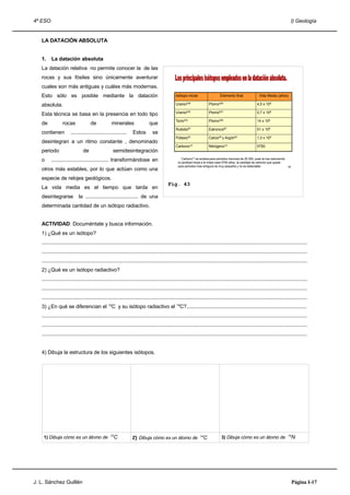 4º ESO                                                                                                                                                                           I) Geología


   LA DATACIÓN ABSOLUTA


   1.    La datación absoluta
   La datación relativa no permite conocer la de las
   rocas y sus fósiles sino únicamente aventurar
   cuales son más antiguas y cuáles más modernas.                                              Los principales isótopos empleados en la datación absoluta son:

   Esto sólo es posible mediante la datación                                                  Isótopo inicial                   Elemento final               Vida Media (años)

   absoluta.                                                                                  Uranio238                  Plomo206                           4,5 x 109

                                                                                              Uranio235                  Plomo207                           0,7 x 109
   Esta técnica se basa en la presencia en todo tipo
                                                                                              Torio232                   Plomo208                           14 x 109
   de            rocas              de            minerales                 que
                                                                                              Rubidio87                  Estroncio87                        51 x 109
   contienen          .......................................    Estos        se
                                                                                              Potasio40                  Calcio40 y   Argón40               1,3 x 109
   desintegran a un ritmo constante , denominado
                                                                                              Carbono14                  Nitrógeno14                        5750
   periodo                     de                  semidesintegración
   o     ........................................ transformándose en                           El Carbono14 se emplea para periodos menores de 25 000, pues al irse reduciendo
                                                                                               la cantidad inicial a la mitad cada 5750 años, la cantidad de carbono que queda
                                                                                               para periodos más antiguos es muy pequeña y no es detectable.                   38
   otros más estables, por lo que actúan como una
   especie de relojes geológicos.
                                                                                         Fig. 43
   La vida media es el tiempo que tarda en
   desintegrarse            la ..................................... de una
   determinada cantidad de un isótopo radiactivo.


   ACTIVIDAD: Documéntate y busca información.
   1) ¿Qué es un isótopo?
   .....................................................................................................................................................................................
   .....................................................................................................................................................................................
   .....................................................................................................................................................................................
   2) ¿Qué es un isótopo radiactivo?
   .....................................................................................................................................................................................
   .....................................................................................................................................................................................
   .....................................................................................................................................................................................
   3) ¿En qué se diferencian el 12C y su isótopo radiactivo el 14C?..................................................................................
   .....................................................................................................................................................................................
   .....................................................................................................................................................................................
   .....................................................................................................................................................................................


   4) Dibuja la estructura de los siguientes isótopos.




    1) Dibuja cómo es un átomo de                12
                                                      C         2) Dibuja cómo es un átomo de                   14
                                                                                                                     C           3) Dibuja cómo es un átomo de                14
                                                                                                                                                                                    N




J. L. Sánchez Guillén                                                                                                                                                               Página I-17
 