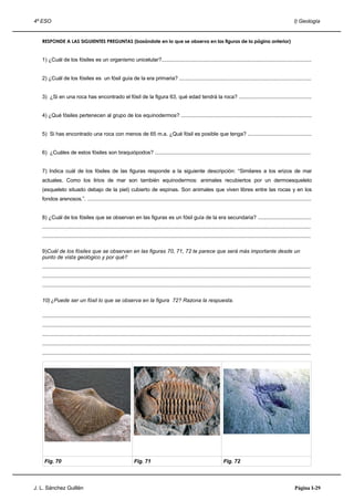 4º ESO                                                                                                                                                                      I) Geología


   RESPONDE A LAS SIGUIENTES PREGUNTAS (basándote en lo que se observa en las figuras de la página anterior)


   1) ¿Cuál de los fósiles es un organismo unicelular?.....................................................................................................


   2) ¿Cuál de los fósiles es un fósil guía de la era primaria? .........................................................................................


   3) ¿Si en una roca has encontrado el fósil de la figura 63, qué edad tendrá la roca? .................................................


   4) ¿Qué fósiles pertenecen al grupo de los equinodermos? ........................................................................................


   5) Si has encontrado una roca con menos de 65 m.a. ¿Qué fósil es posible que tenga? ...........................................


   6) ¿Cuáles de estos fósiles son braquiópodos? .........................................................................................................


   7) Indica cuál de los fósiles de las figuras responde a la siguiente descripción: “Similares a los erizos de mar
   actuales. Como los lirios de mar son también equinodermos: animales recubiertos por un dermoesqueleto
   (esqueleto situado debajo de la piel) cubierto de espinas. Son animales que viven libres entre las rocas y en los
   fondos arenosos.”. .......................................................................................................................................................


   8) ¿Cuál de los fósiles que se observan en las figuras es un fósil guía de la era secundaria? ....................................
   .....................................................................................................................................................................................
   .....................................................................................................................................................................................

   9)Cuál de los fósiles que se observan en las figuras 70, 71, 72 te parece que será más importante desde un
   punto de vista geológico y por qué?
   .....................................................................................................................................................................................
   .....................................................................................................................................................................................
   .....................................................................................................................................................................................

   10) ¿Puede ser un fósil lo que se observa en la figura 72? Razona la respuesta.

   .....................................................................................................................................................................................
   .....................................................................................................................................................................................
   .....................................................................................................................................................................................
   .....................................................................................................................................................................................
   .....................................................................................................................................................................................




    Fig. 70                                                     Fig. 71                                                      Fig. 72



J. L. Sánchez Guillén                                                                                                                                                        Página I-29
 