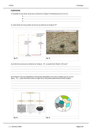 4º ESO                                                                                                                                                                      I) Geología


   EJERCICIOS

   1) Completa el ciclo de las rocas que se observa en la figura 73 indicando qué son A, B y C.
                               A......................................................................................................................................................
                               B......................................................................................................................................................
                               C......................................................................................................................................................

   2) ¿Qué clases de rocas pueden ser las que se observan en la figura 74?
   .....................................................................................................................................................................................



                                                                     Transformaciones debidas
                                                                     a procesos externos
                                                B                    (erosión, transporte y
                                                                     sedimentación).




                                      Transformaciones de
                     A                otras rocas debidas a                 Rocas
                                      la presión y/o
                                      temperatura.                        magmáticas




                                                                                C


                                           Rocas
                                        metamórficas

          Fig. 73                                                                               Fig. 74



   3)¿Cuál de las rocas que se observan en la figura ..75.. no puede tener fósiles? ¿Por qué?
   .....................................................................................................................................................................................
   .....................................................................................................................................................................................
   .....................................................................................................................................................................................
   .....................................................................................................................................................................................

   4) Al observar una roca magmática al microscopio petrográfico se ha visto la imagen que se ve en la
   figura....76.....¿Qué información sobre el origen de la roca puede proporcionarnos dicha imagen?
   .....................................................................................................................................................................................
   .....................................................................................................................................................................................
   .....................................................................................................................................................................................
   .....................................................................................................................................................................................




          Fig. 75                                                                               Fig. 76




J. L. Sánchez Guillén                                                                                                                                                        Página I-30
 