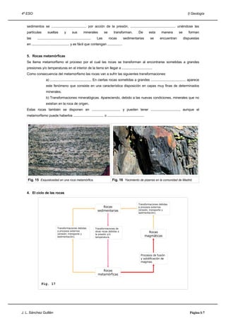4º ESO                                                                                                                                         I) Geología


   sedimentos se ...................................... por acción de la presión, ................................................. uniéndose las
   partículas          sueltas           y       sus         minerales          se       transforman.     De       esta      manera     se      forman
   las      ..........................................................    Las        rocas       sedimentarias      se     encuentran        dispuestas
   en ......................................... y es fácil que contengan ................


   5. Rocas metamórficas
   Se llama metamorfismo el proceso por el cual las rocas se transforman al encontrarse sometidas a grandes
   presiones y/o temperaturas en el interior de la tierra sin llegar a .................................
   Como consecuencia del metamorfismo las rocas van a sufrir las siguientes transformaciones:
                     a) ............................................. En ciertas rocas sometidas a grandes ...................................... aparece
                     este fenómeno que consiste en una característica disposición en capas muy finas de determinados
                     minerales.
                     b) Transformaciones mineralógicas. Apareciendo, debido a las nuevas condiciones, minerales que no
                     existían en la roca de origen.
   Estas rocas también se disponen en ............................... y pueden tener ..............................., aunque el
   metamorfismo puede haberlos ................................. o ........................................




    Fig. 15 Esquistosidad en una roca metamórfica.                                     Fig. 16 Yacimiento de pizarras en la comunidad de Madrid.


   4. El ciclo de las rocas


                                                                                                          Transformaciones debidas
                                                                               Rocas                      a procesos externos
                                                                           sedimentarias                  (erosión, transporte y
                                                                                                          sedimentación).




                                 Transformaciones debidas                Transformaciones de
                                 a procesos externos                     otras rocas debidas a                     Rocas
                                 (erosión, transporte y                  la presión y/o
                                 sedimentación).                         temperatura.                            magmáticas




                                                                                                           Procesos de fusión
                                                                                                           y solidificación de
                                                                                                           magmas.


                                                                              Rocas
                                                                           metamórficas

                Fig. 17




J. L. Sánchez Guillén                                                                                                                            Página I-7
 