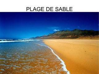 PLAGE DE SABLE

 