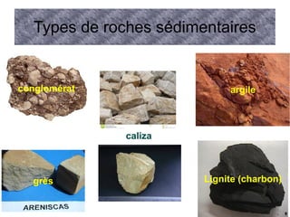 Types de roches sédimentaires

conglomérat

argile

caliza

grès

Lignite (charbon)

 