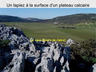 Un lapiez à la surface d'un plateau calcaire

La Nava (Sierra de Cabra)

 