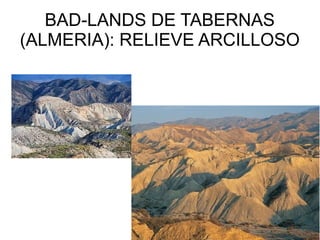 BAD-LANDS DE TABERNAS
(ALMERIA): RELIEVE ARCILLOSO

 