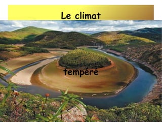 Le climat
Les déserts chauds

tempéré

Les déserts froids

 