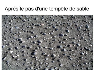 Aprés le pas d'une tempête de sable

 