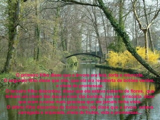 O primeiro filho disse que a árvore era feia, torta e retorcida.
O segundo filho disse que não, que ela era recoberta de botões verdes,
                          e cheia de promessas.
 O terceiro filho discordou; disse que ela estava coberta de flores, que
tinham um cheiro tão doce e eram tão bonitas, que ele arriscaria dizer
       que eram a coisa mais graciosa que ele jamais tinha visto.
 O último filho discordou de todos eles; ele disse que a árvore estava
       carregada e arqueada, cheia de frutas, vida e promessas...
 