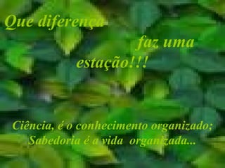 Que diferença
                    faz uma
            estação!!!


 Ciência, é o conhecimento organizado;
    Sabedoria é a vida organizada...
 